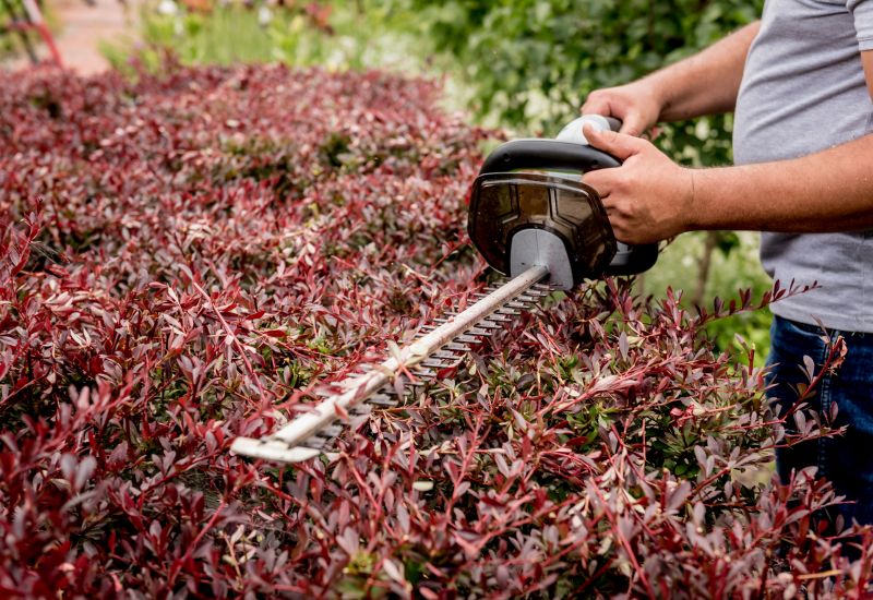 Shrub Trimming Equipment