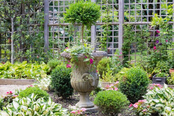 Cost of Topiary Pruning in Chico